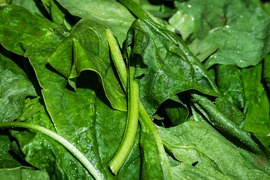 (expired, sale) Vegetal material: Spinach - Pesticides multiresidues