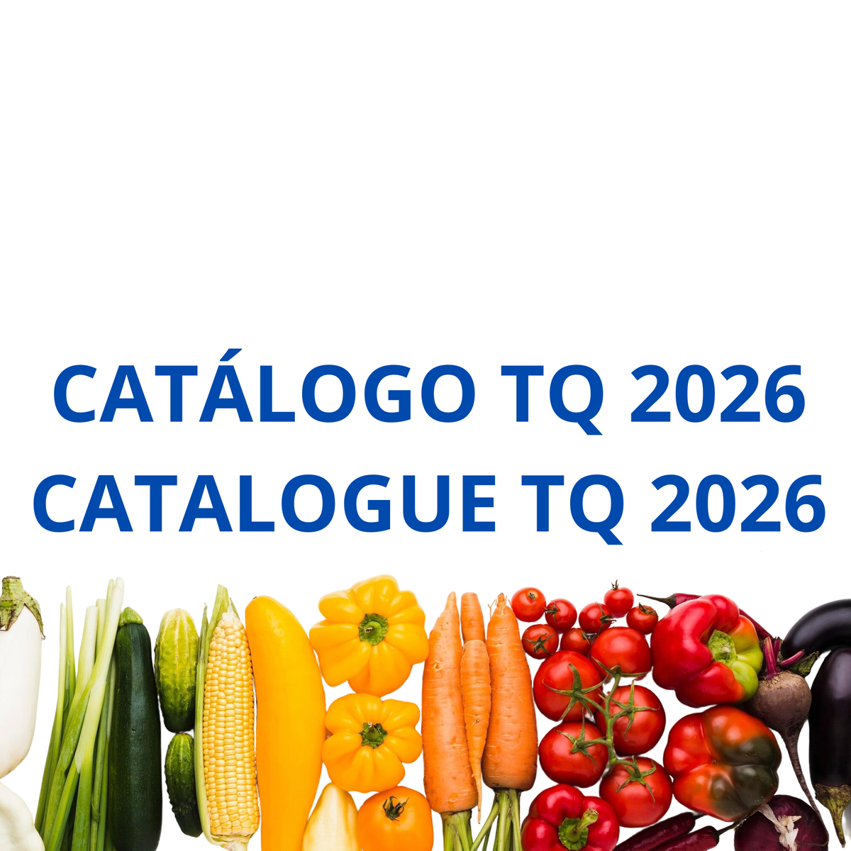 Catálogo - Consultar