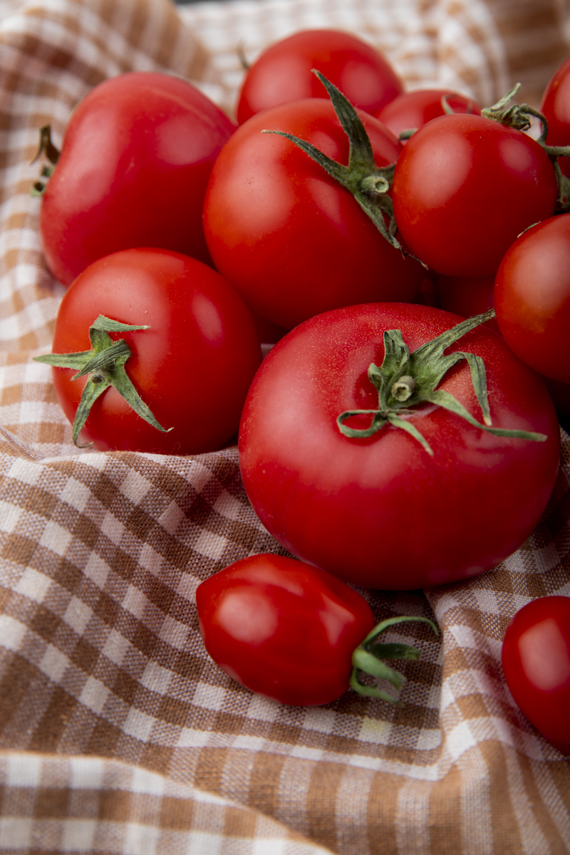 TestQual 231 · Plaguicidas MR · Glifosato · Glufosinato · AMPA · Etefón en tomate - Tomate